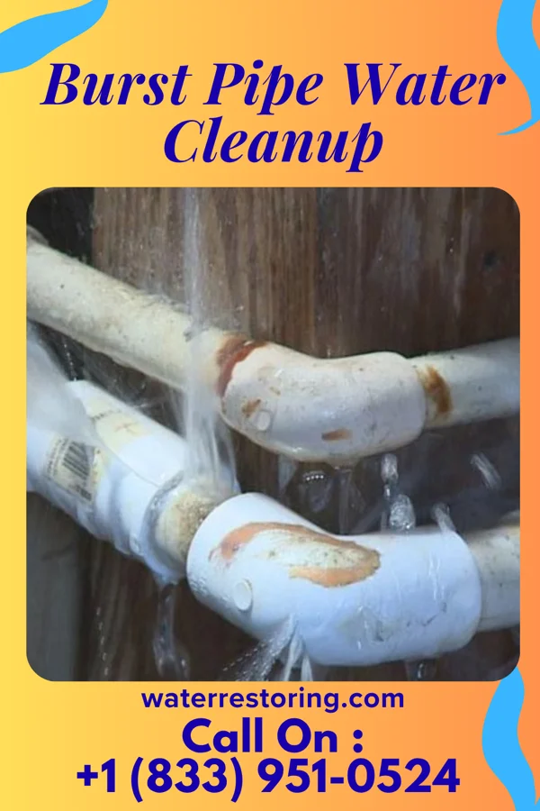 Burst Pipe Water Cleanup in Snow Hill, NC