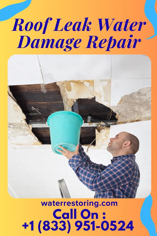 Roof Leak Water Damage Repair in Snow Hill, NC
