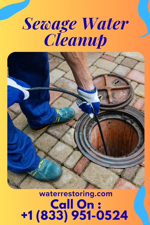 Sewage Water Cleanup in Snow Hill, NC